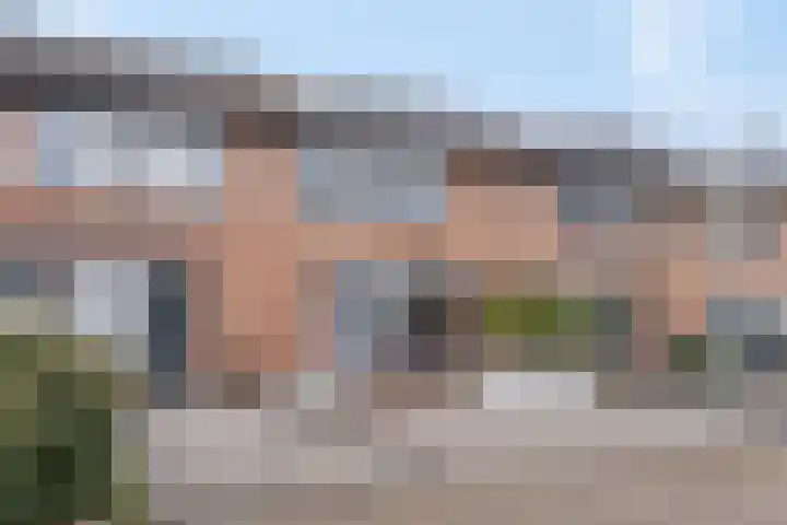 Turfschip 11 Veenendaal thumbnail 4