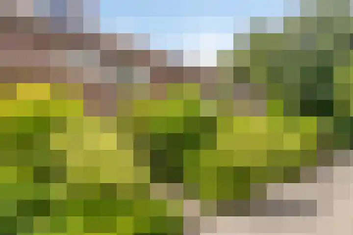 Turfschip 116 Amstelveen thumbnail 24
