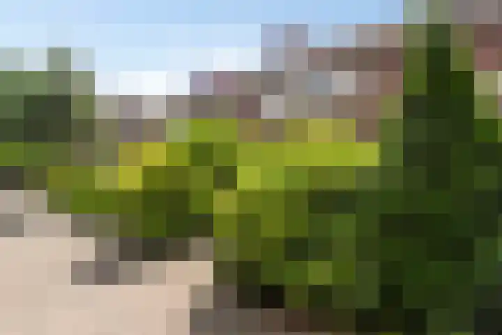 Turfschip 116 Amstelveen thumbnail 25