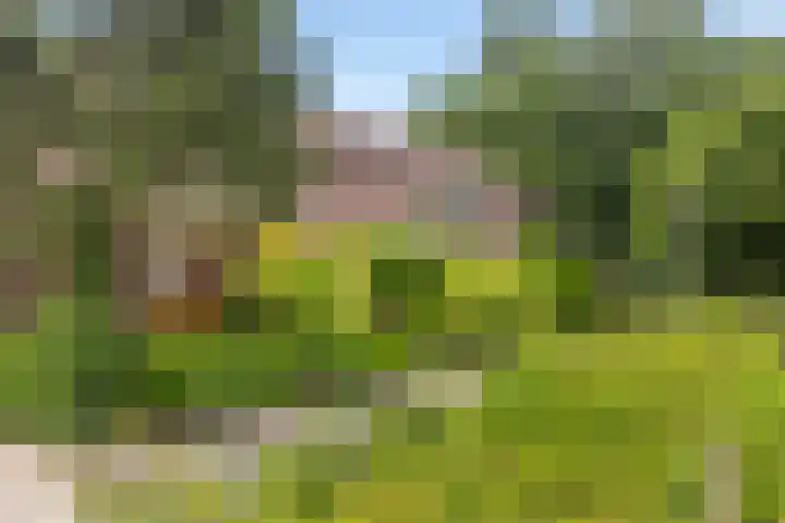 Turfschip 116 Amstelveen thumbnail 26