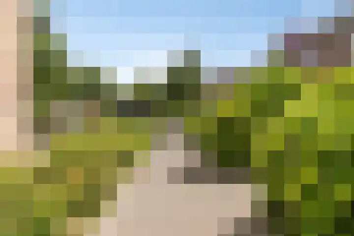 Turfschip 116 Amstelveen thumbnail 27