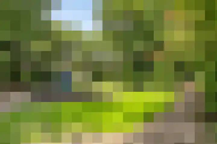 Turfschip 116 Amstelveen thumbnail 29