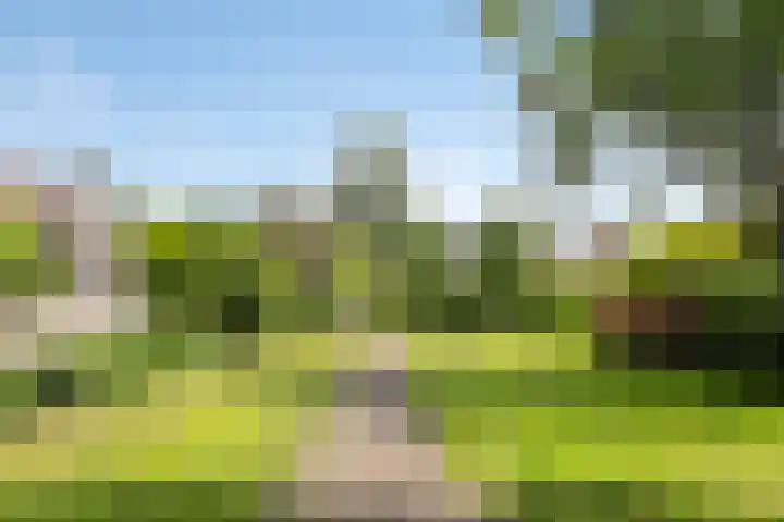 Turfschip 116 Amstelveen thumbnail 30