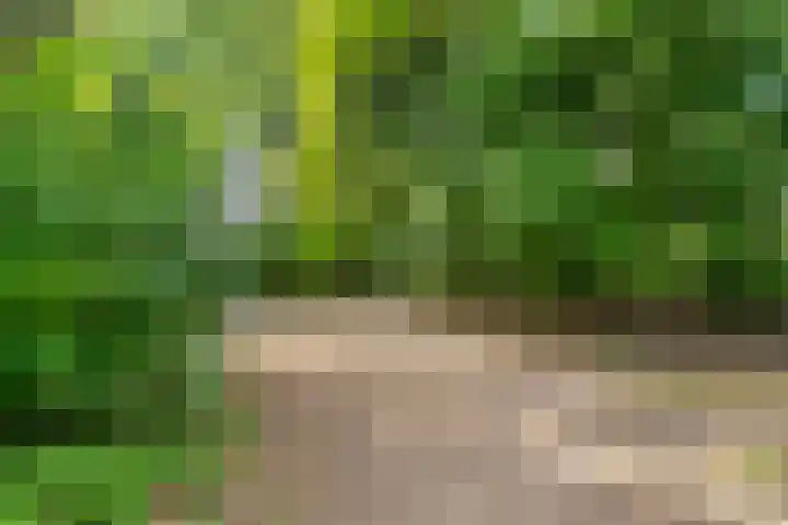 Turfschip 116 Amstelveen thumbnail 31