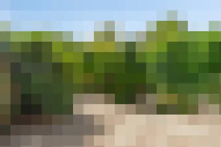 Turfschip 116 Amstelveen thumbnail 8