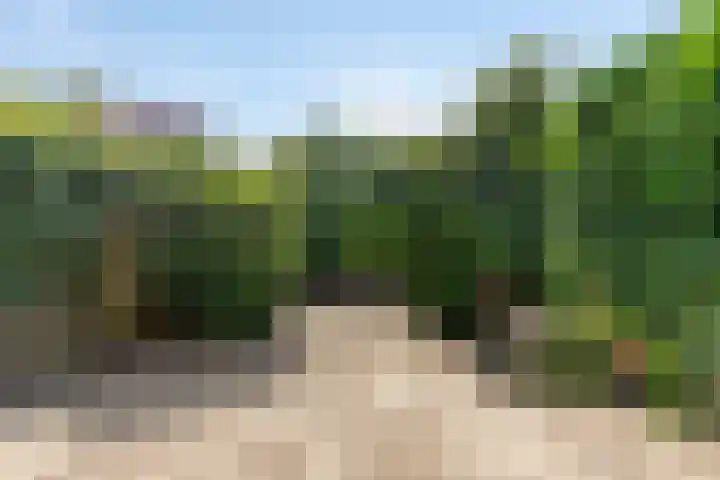 Turfschip 116 Amstelveen thumbnail 9