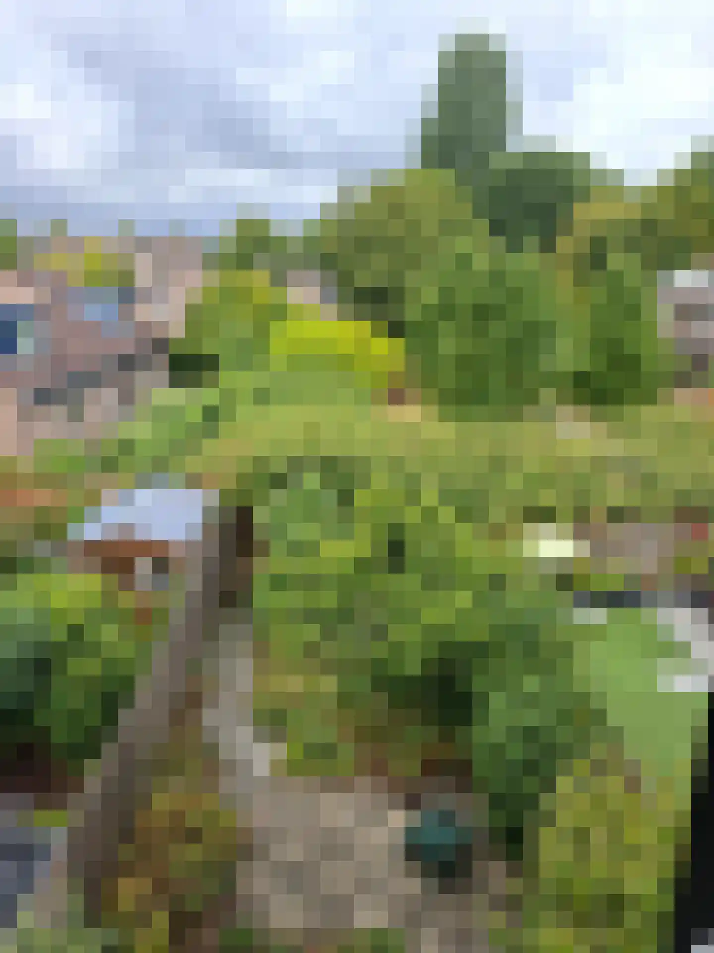 Turfschip 170 Amstelveen thumbnail 14
