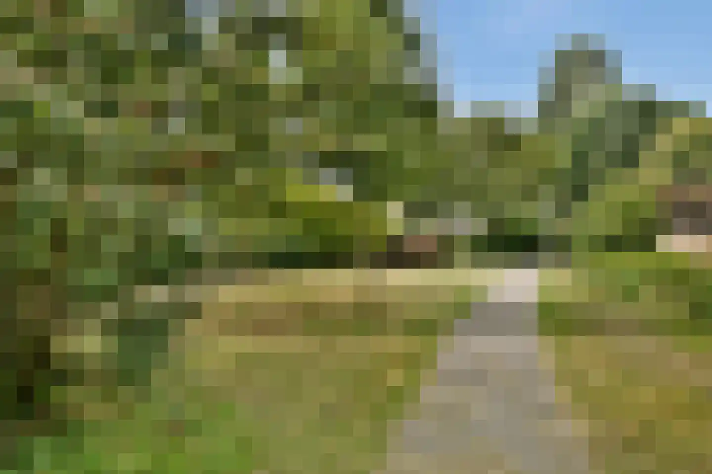 Turfschip 170 Amstelveen thumbnail 32