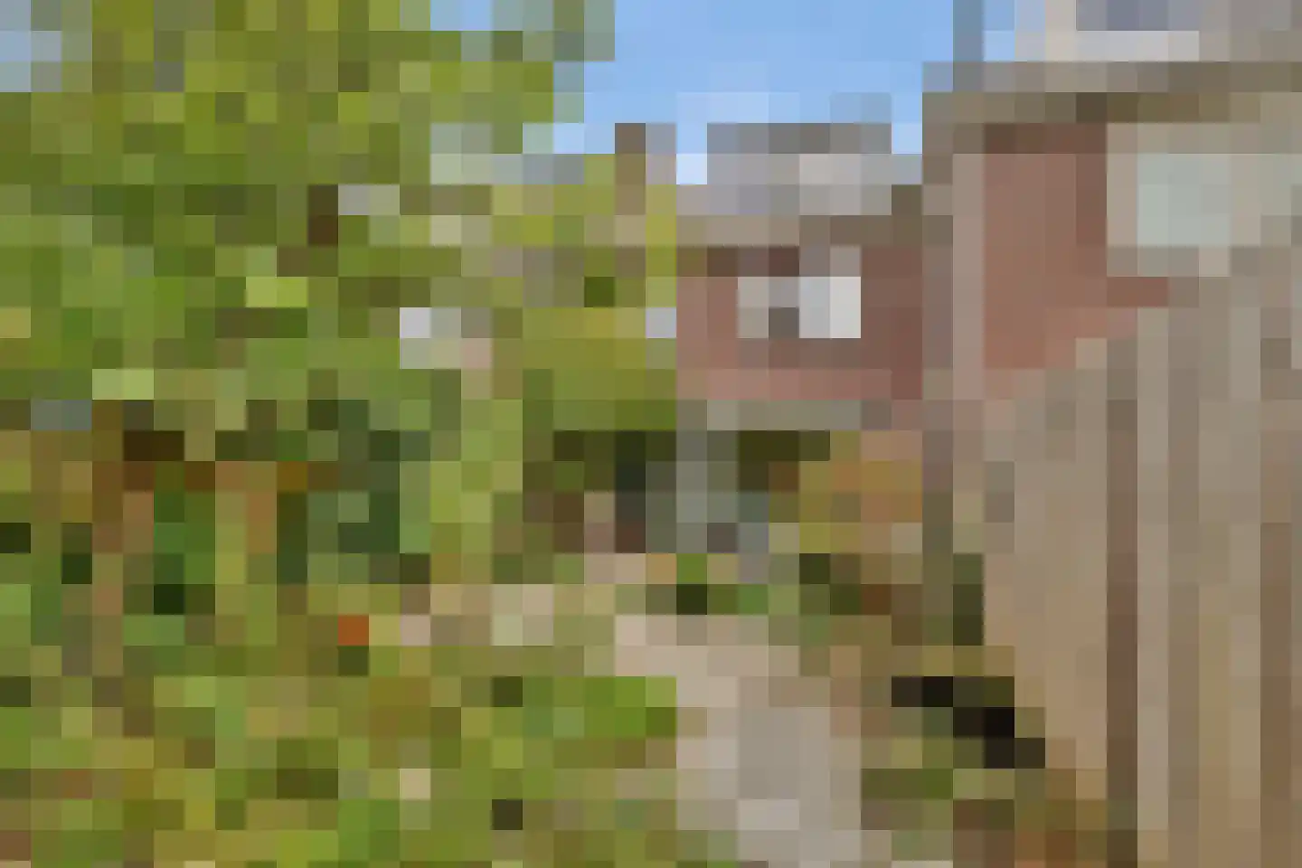Turfschip 170 Amstelveen thumbnail 5