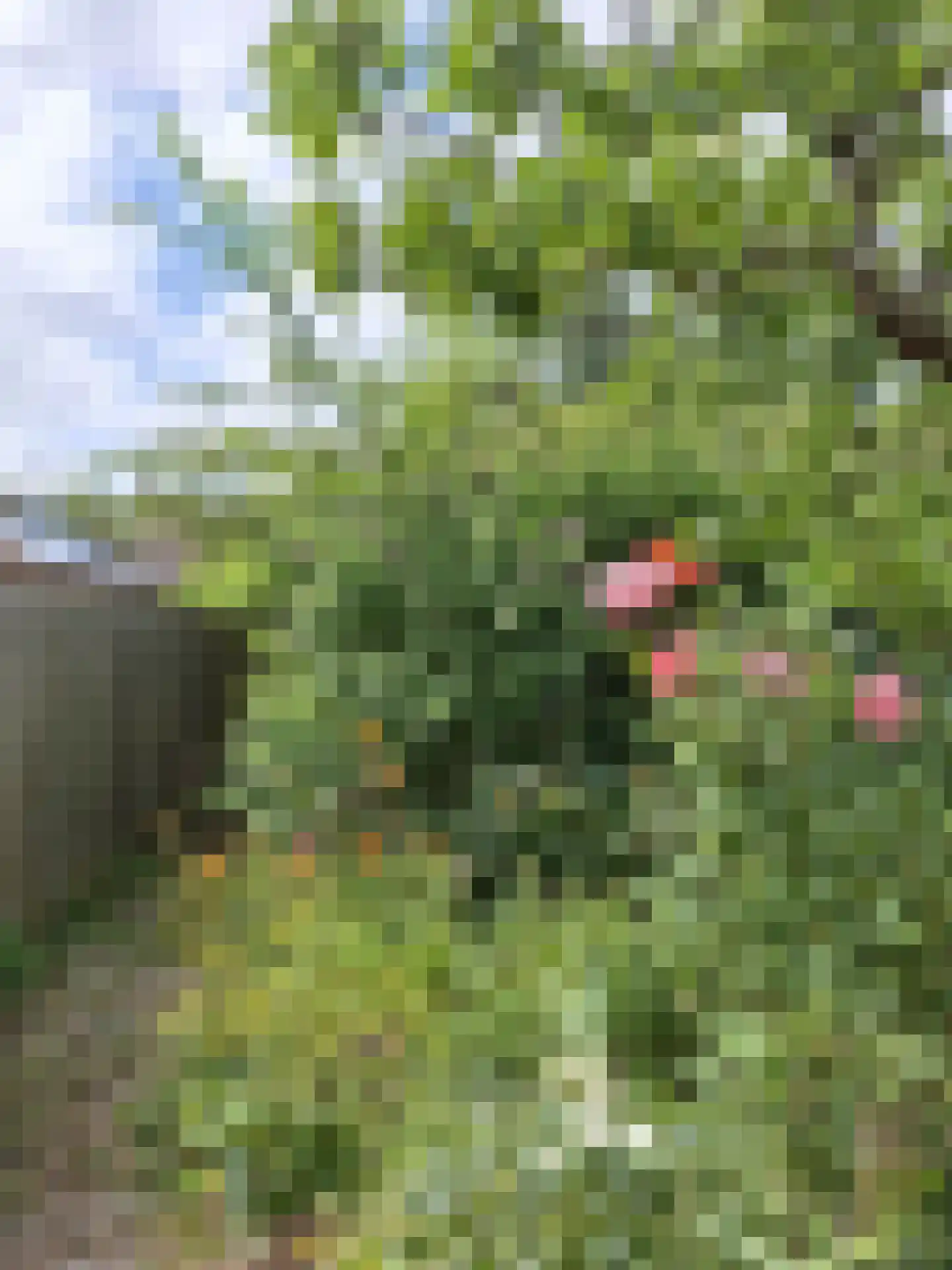 Turfschip 170 Amstelveen thumbnail 6