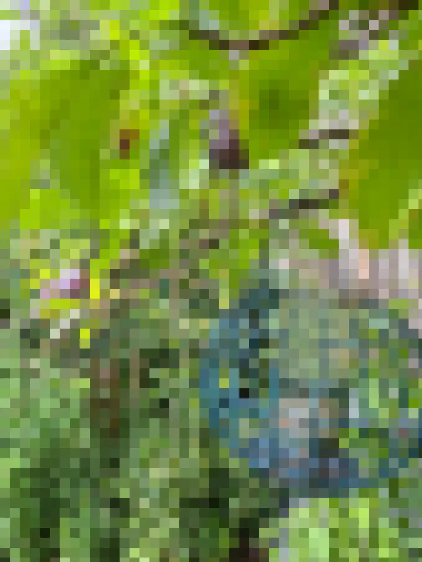Turfschip 170 Amstelveen thumbnail 7
