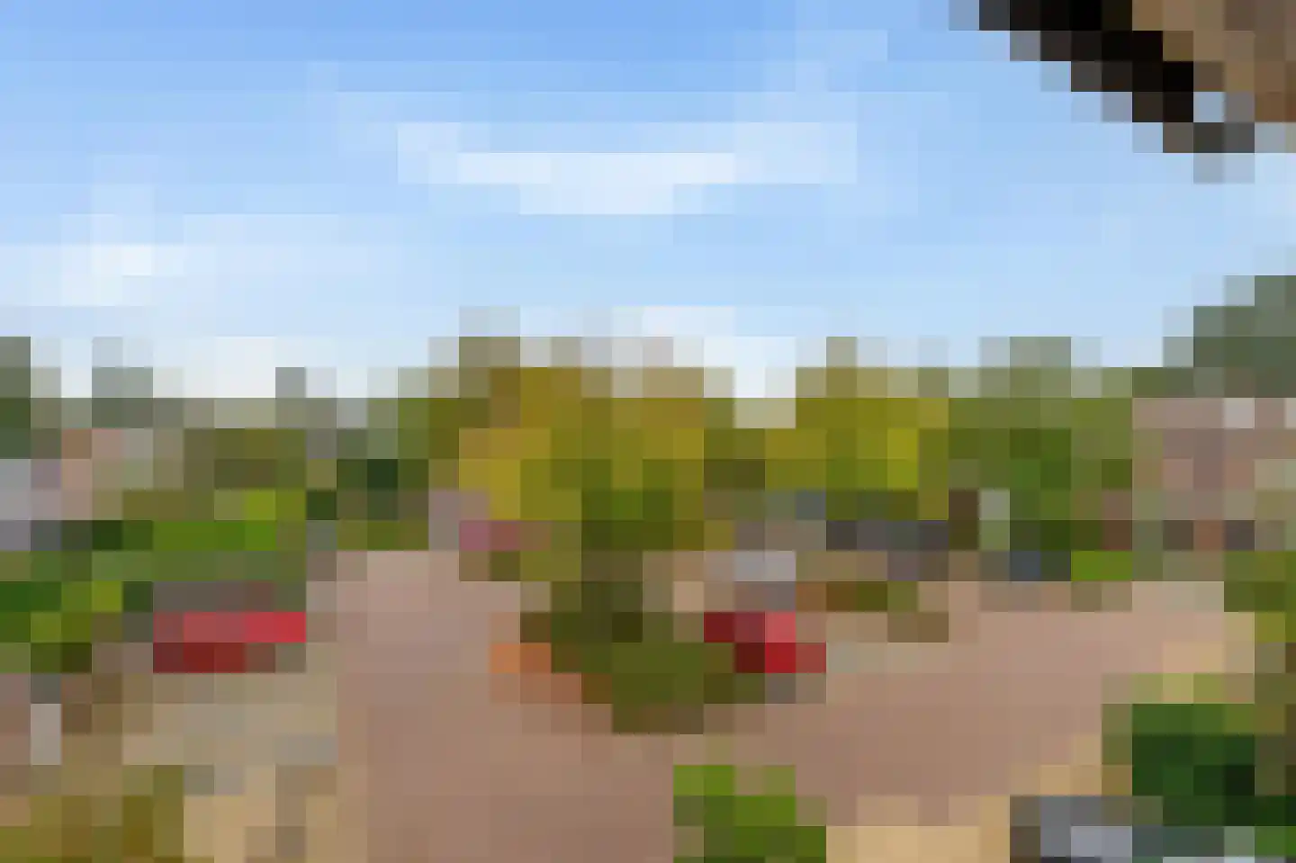 Turfschip 196 Amstelveen thumbnail 19
