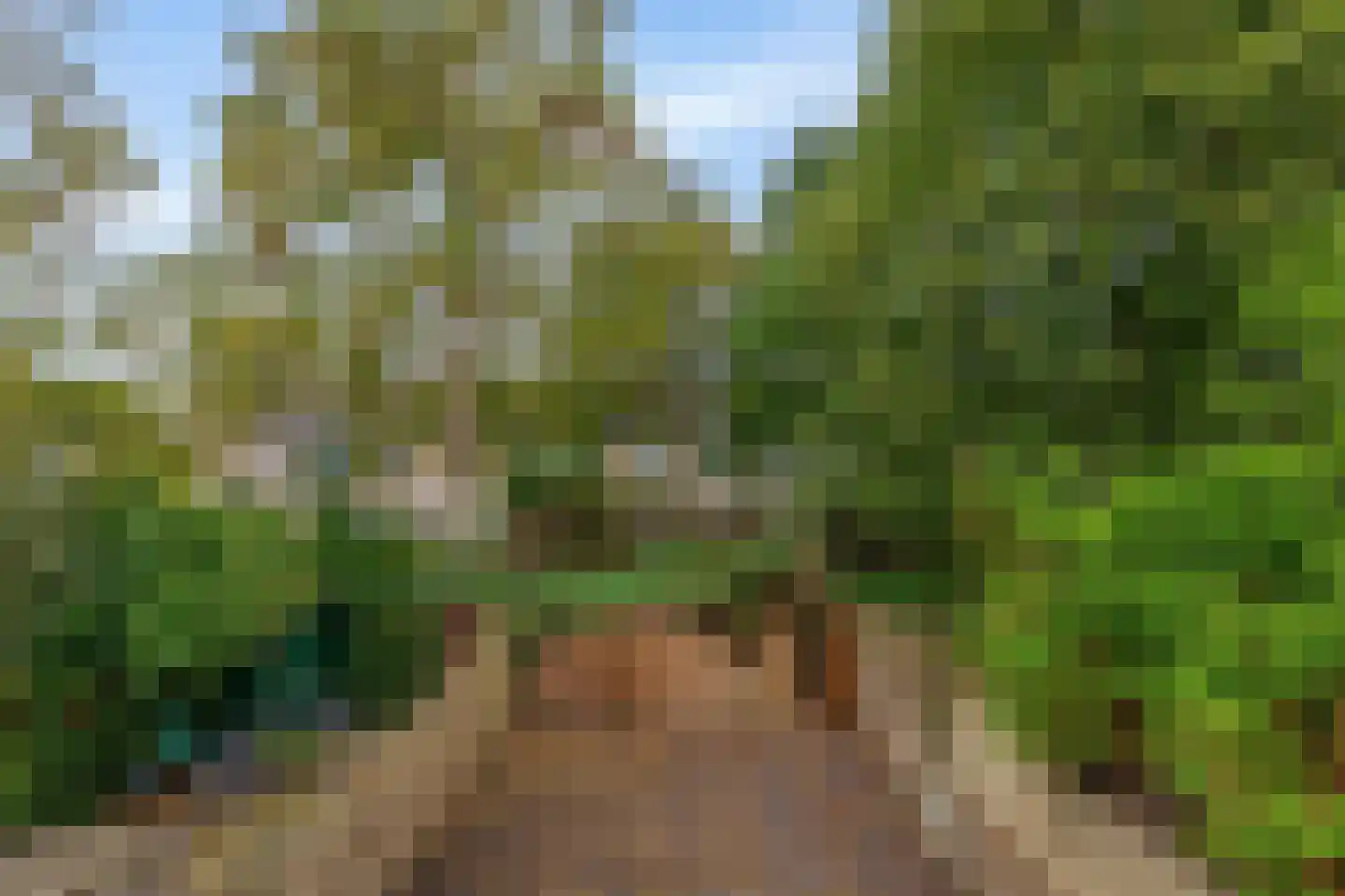 Turfschip 196 Amstelveen thumbnail 29