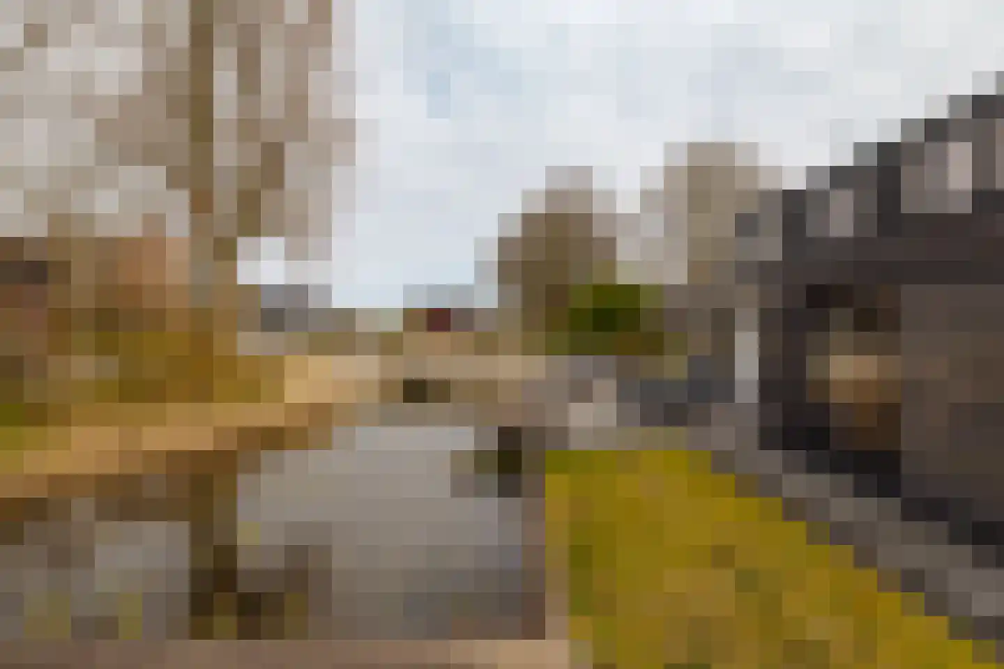 Turfschip 2 Amstelveen thumbnail 40