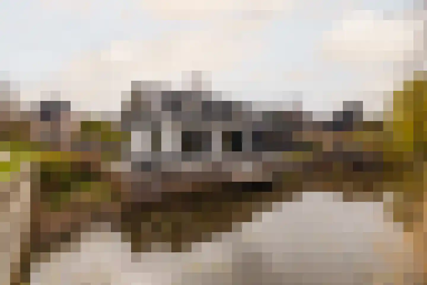 Turfschip 2 Amstelveen thumbnail 42