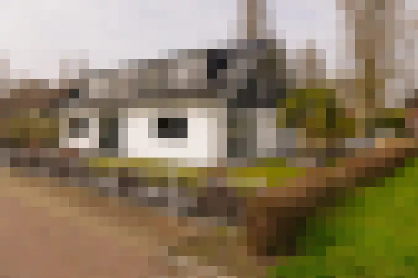 Turfschip 2 Amstelveen thumbnail 44