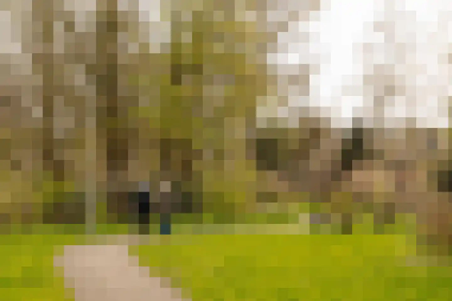 Turfschip 2 Amstelveen thumbnail 45
