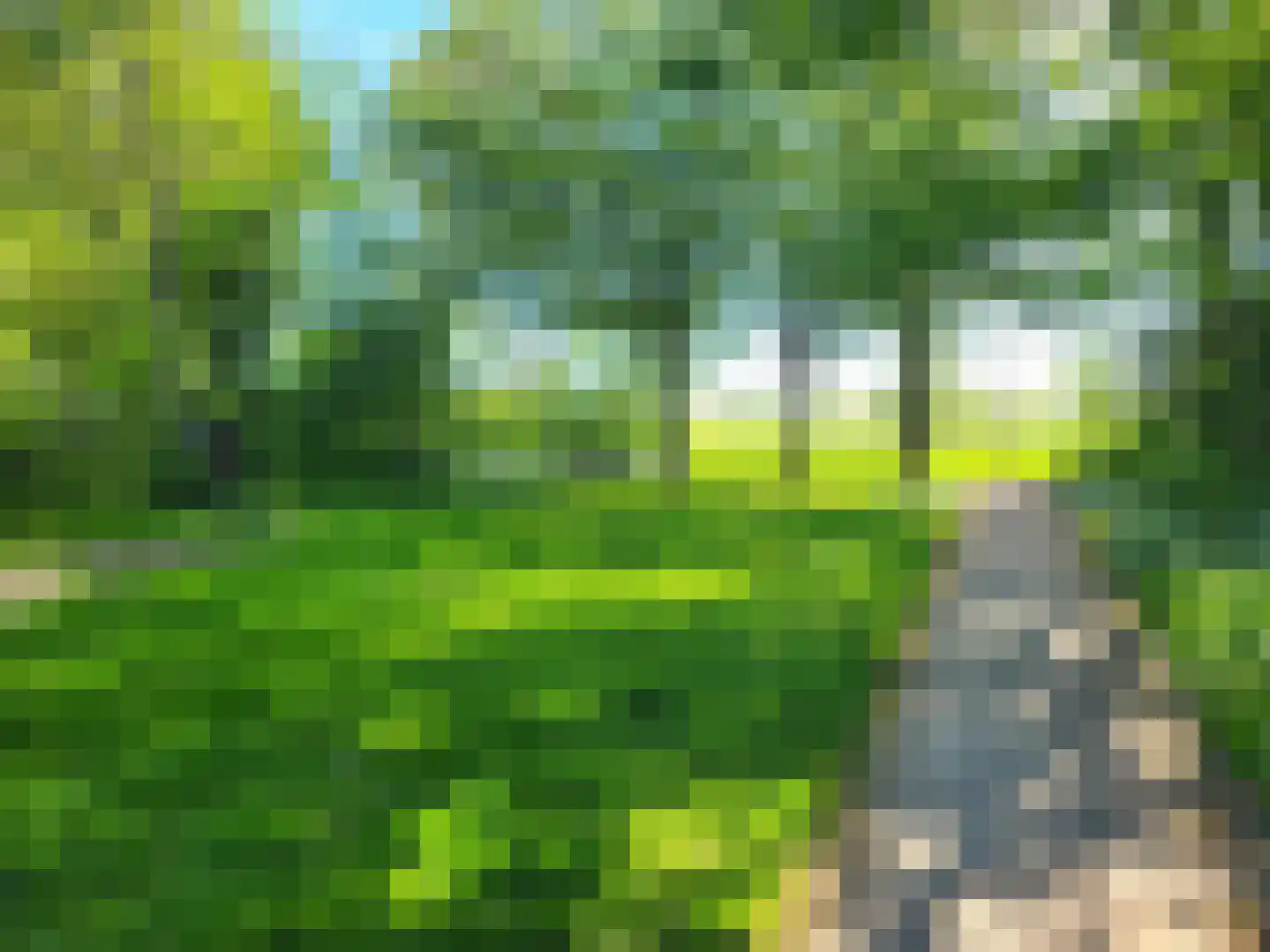 Turfschip 201 Amstelveen thumbnail 24