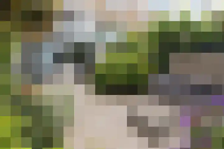 Turfschip 217 Amstelveen thumbnail 5