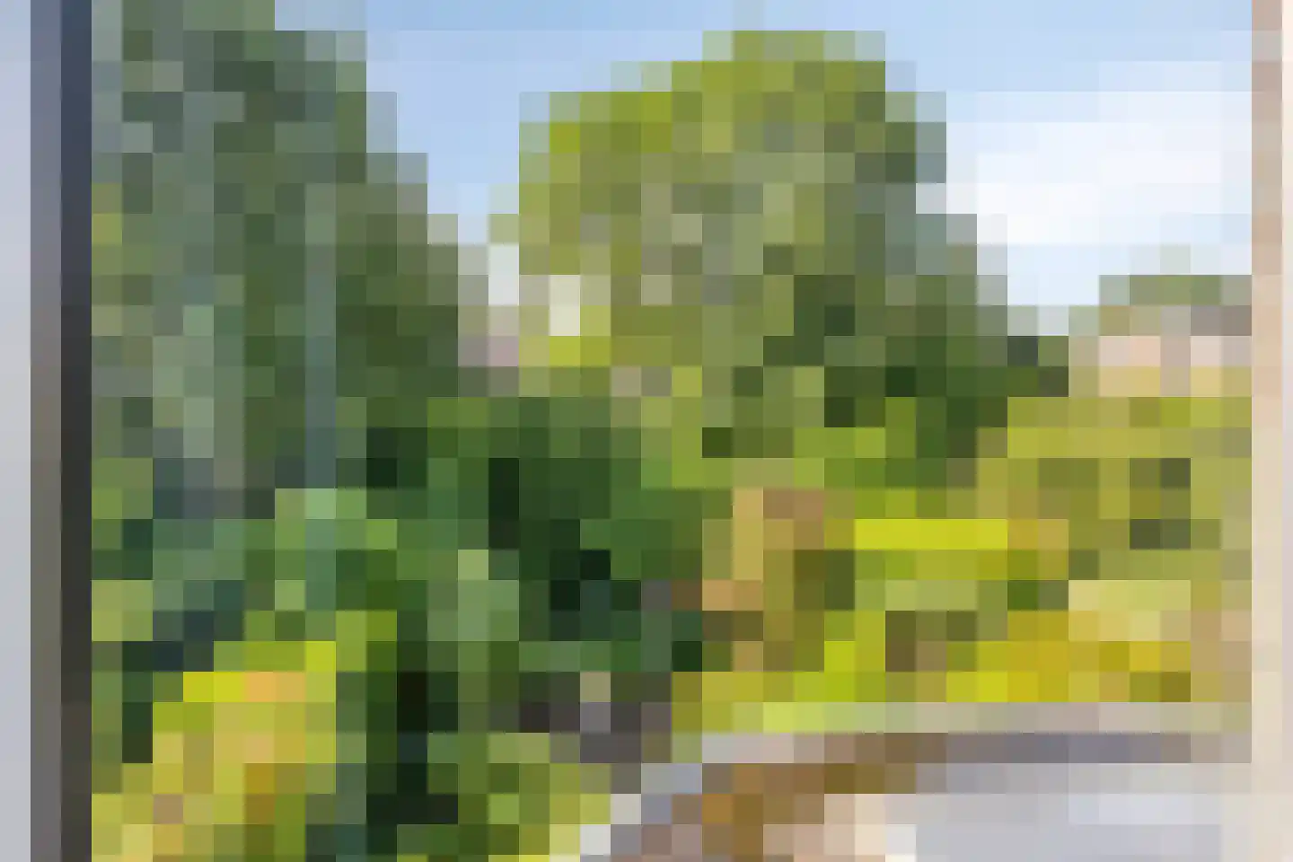 Turfschip 229 Amstelveen thumbnail 16