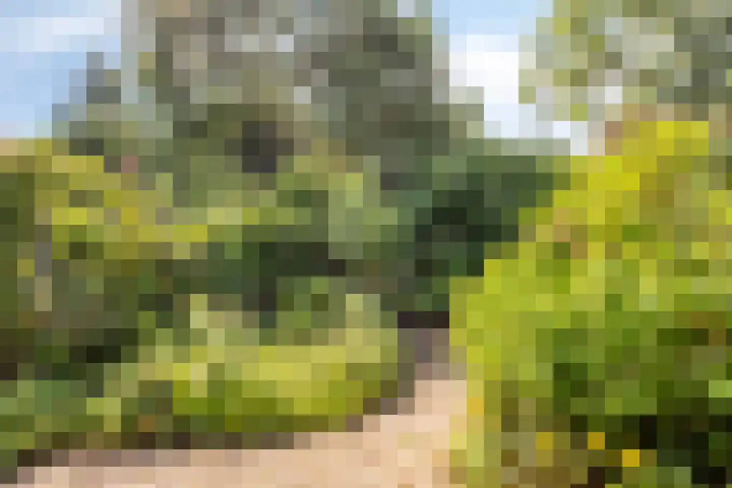 Turfschip 229 Amstelveen thumbnail 19