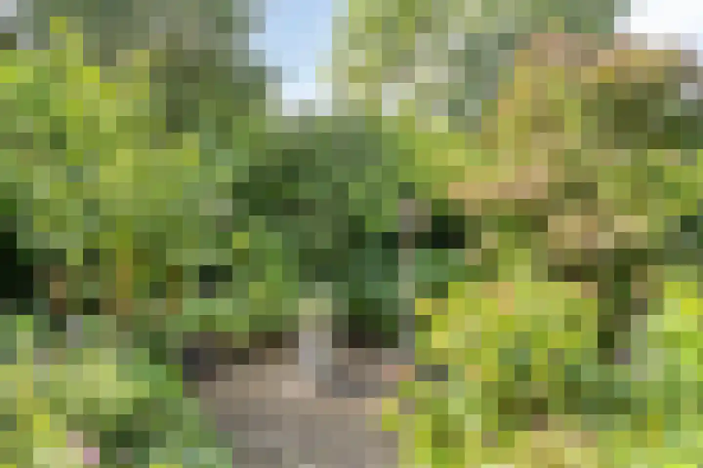 Turfschip 229 Amstelveen thumbnail 20