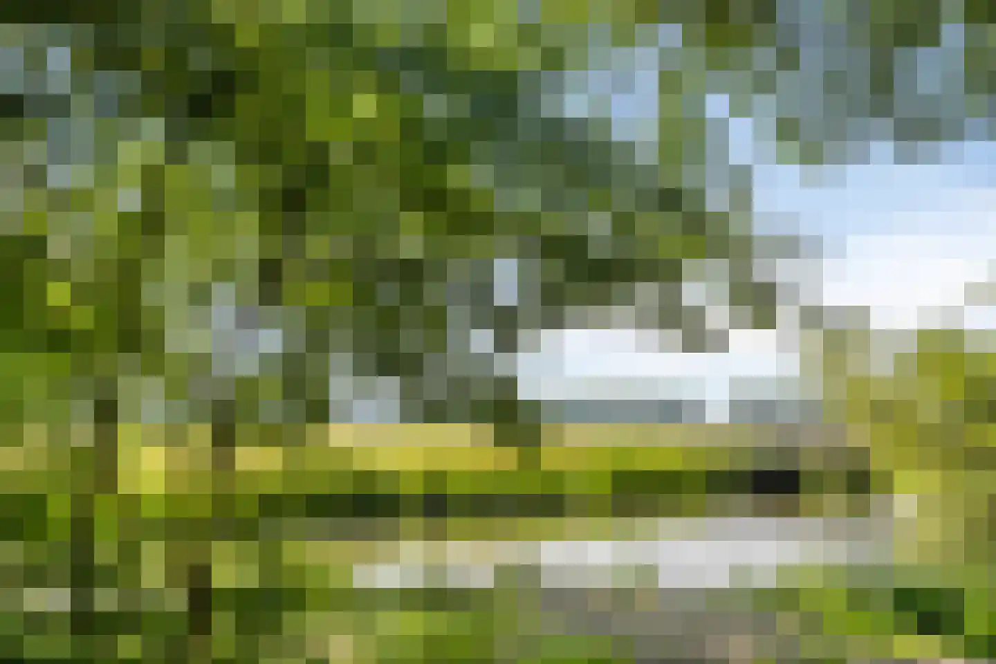 Turfschip 229 Amstelveen thumbnail 23