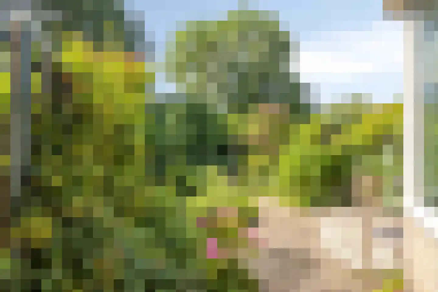 Turfschip 229 Amstelveen thumbnail 5