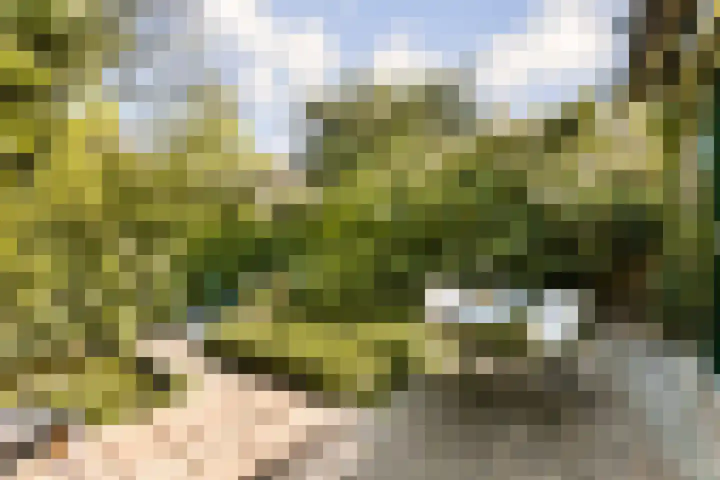 Turfschip 247 Amstelveen thumbnail 10