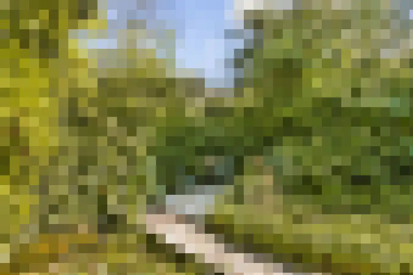 Turfschip 247 Amstelveen thumbnail 11