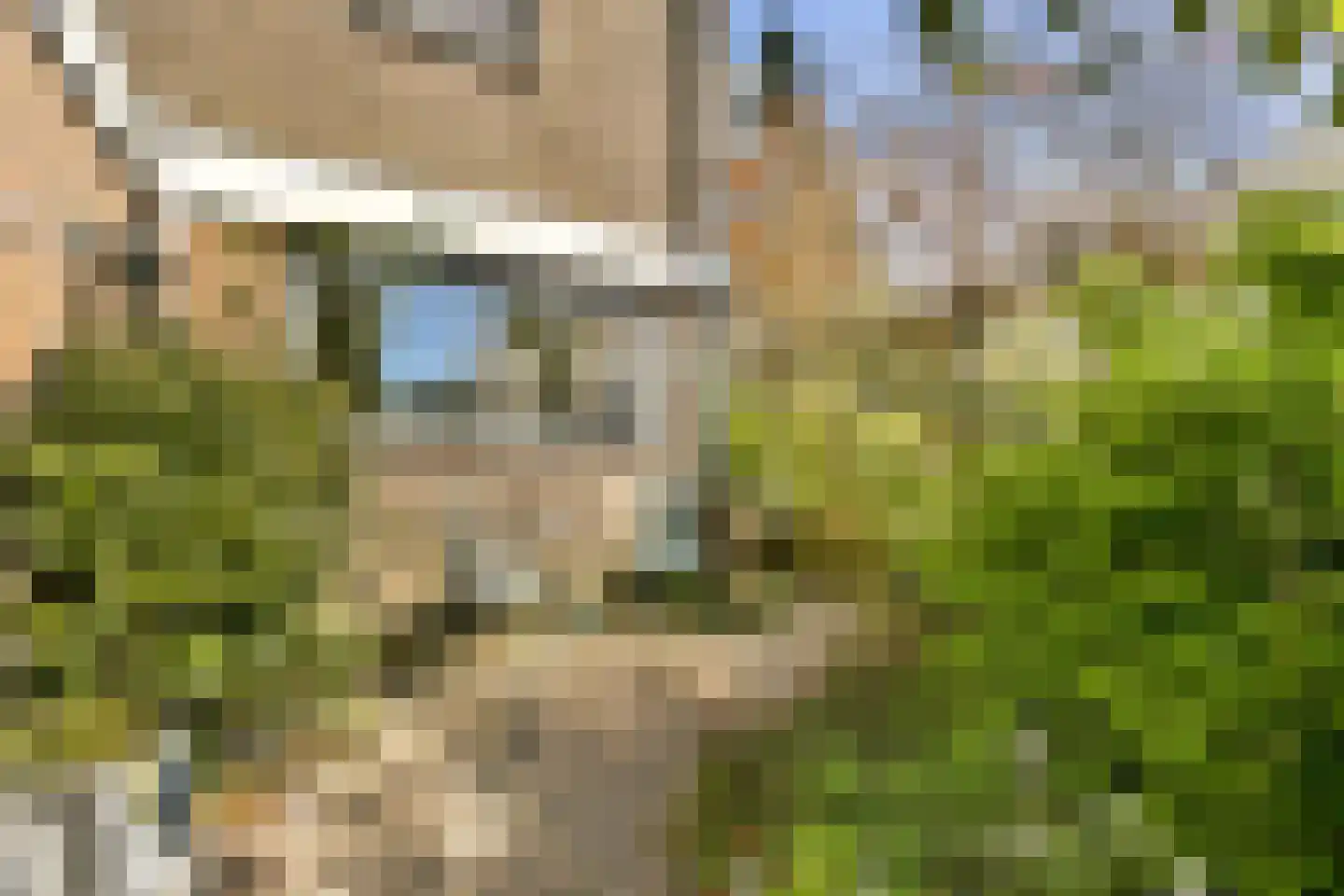 Turfschip 247 Amstelveen thumbnail 24
