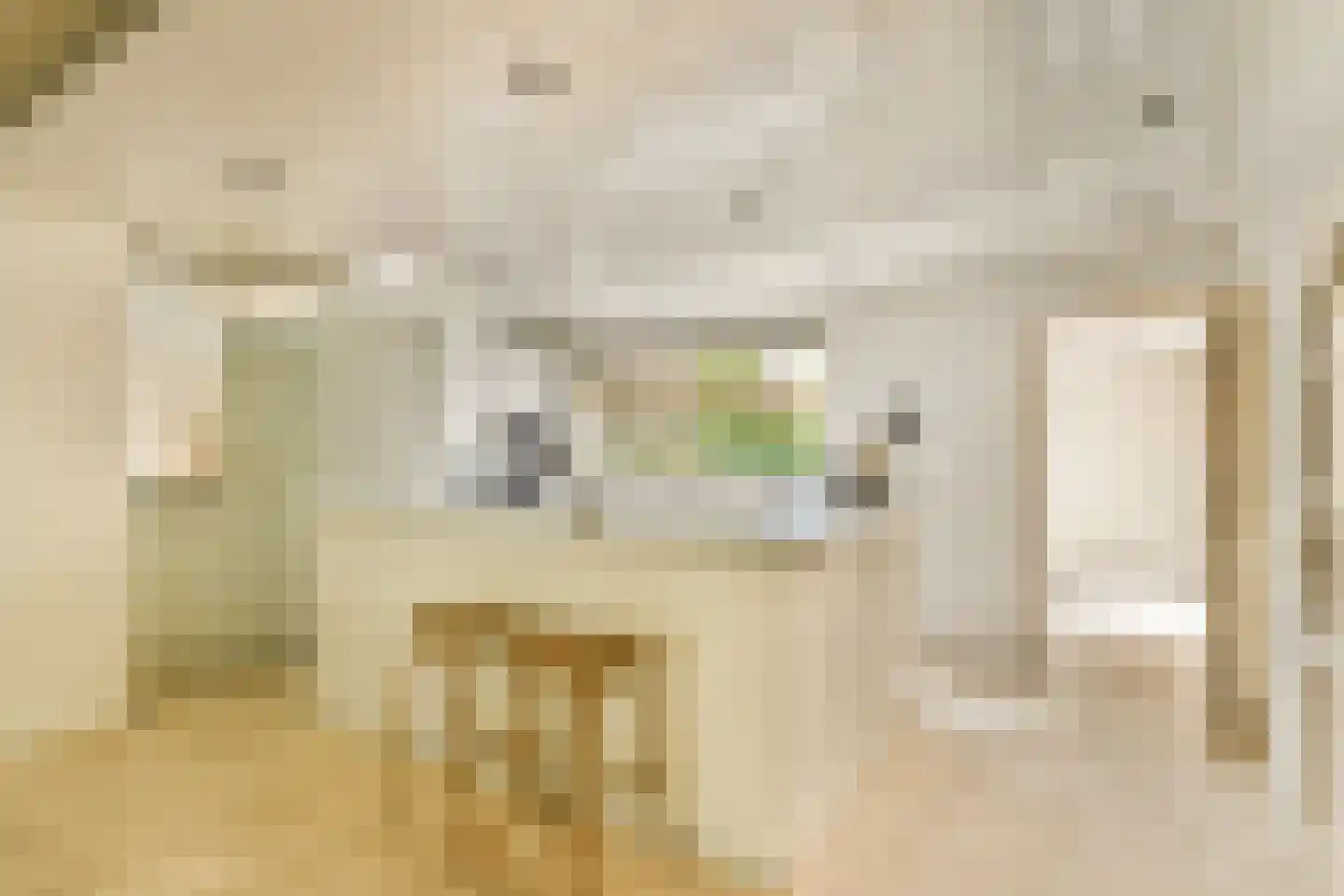 Turfschip 247 Amstelveen thumbnail 7
