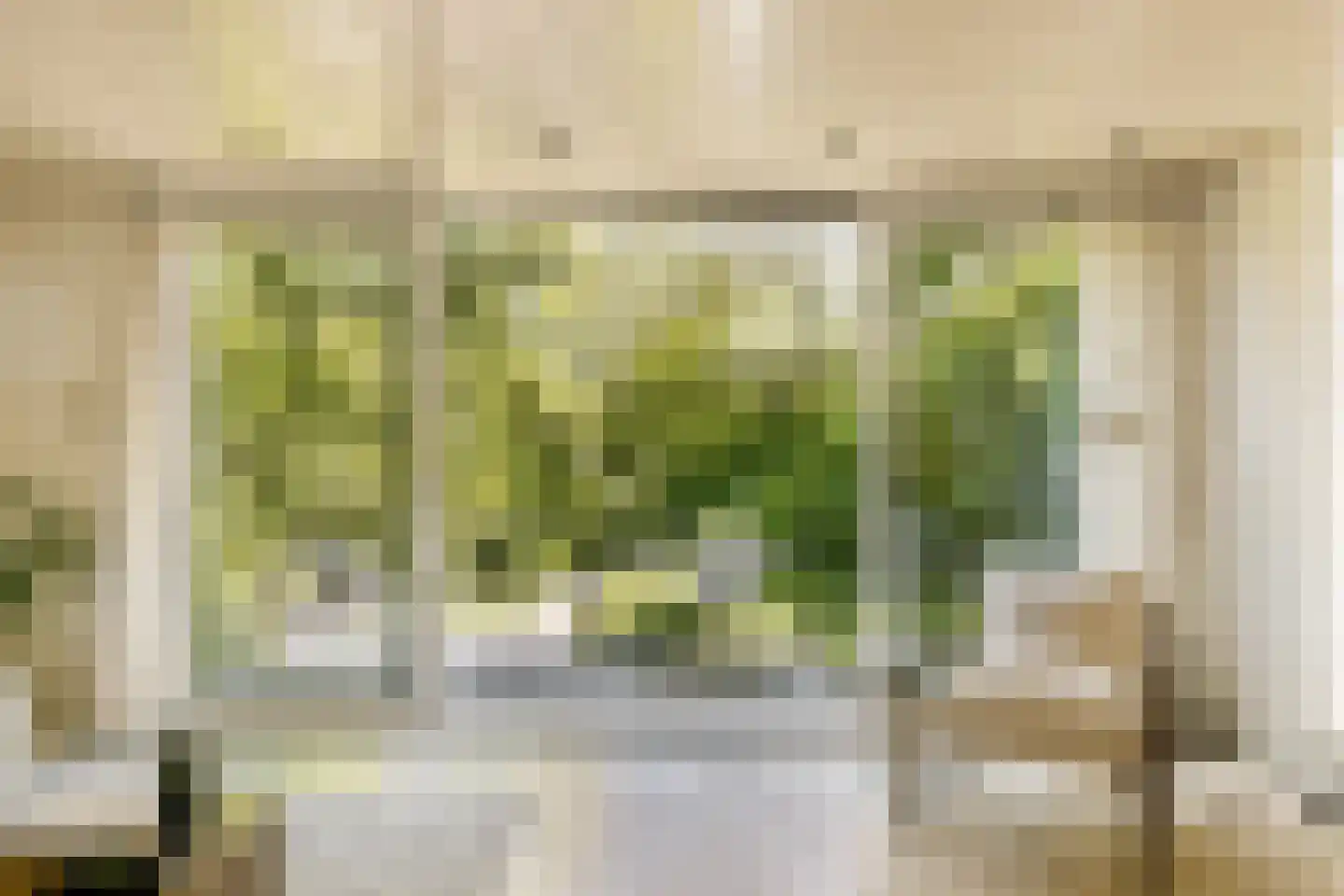 Turfschip 247 Amstelveen thumbnail 8