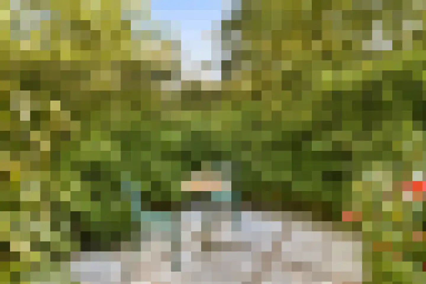 Turfschip 247 Amstelveen thumbnail 9
