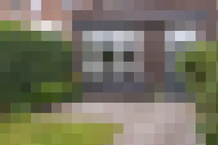 Turfschip 252 Amstelveen thumbnail 30