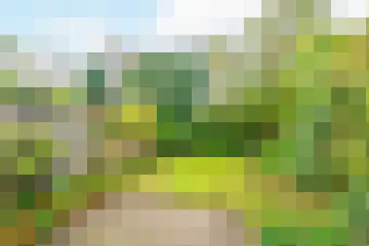 Turfschip 252 Amstelveen thumbnail 33