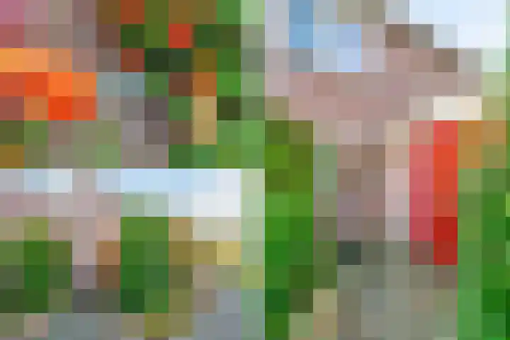 Turfschip 252 Amstelveen thumbnail 35