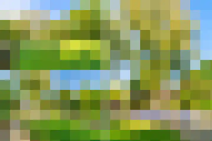 Turfschip 252 Amstelveen thumbnail 41