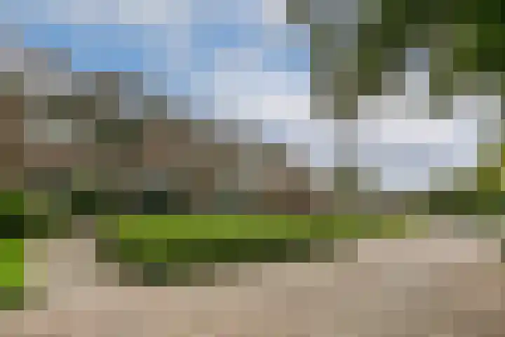 Turfschip 264 Amstelveen thumbnail 4