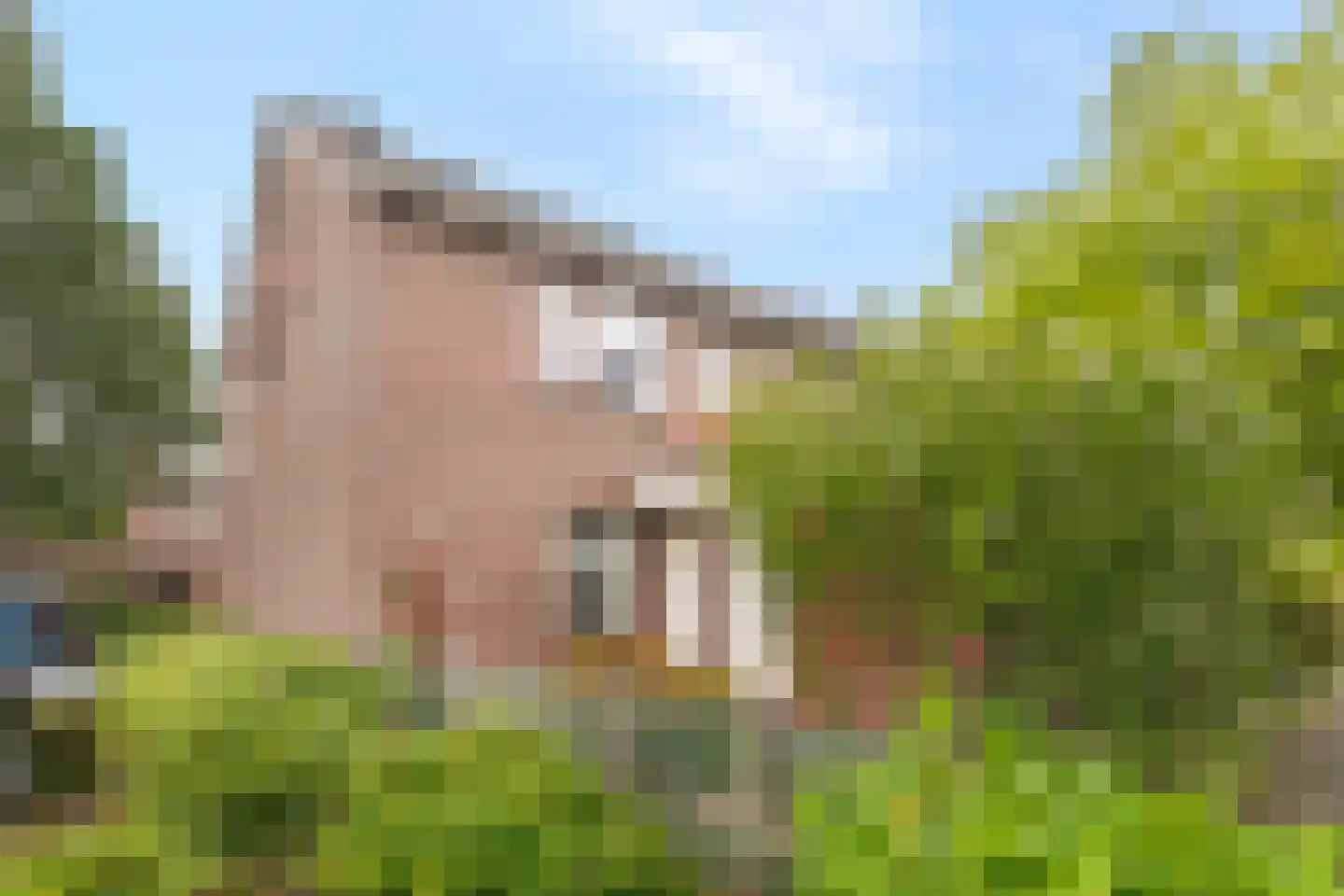 Turfschip 296 Amstelveen thumbnail 39