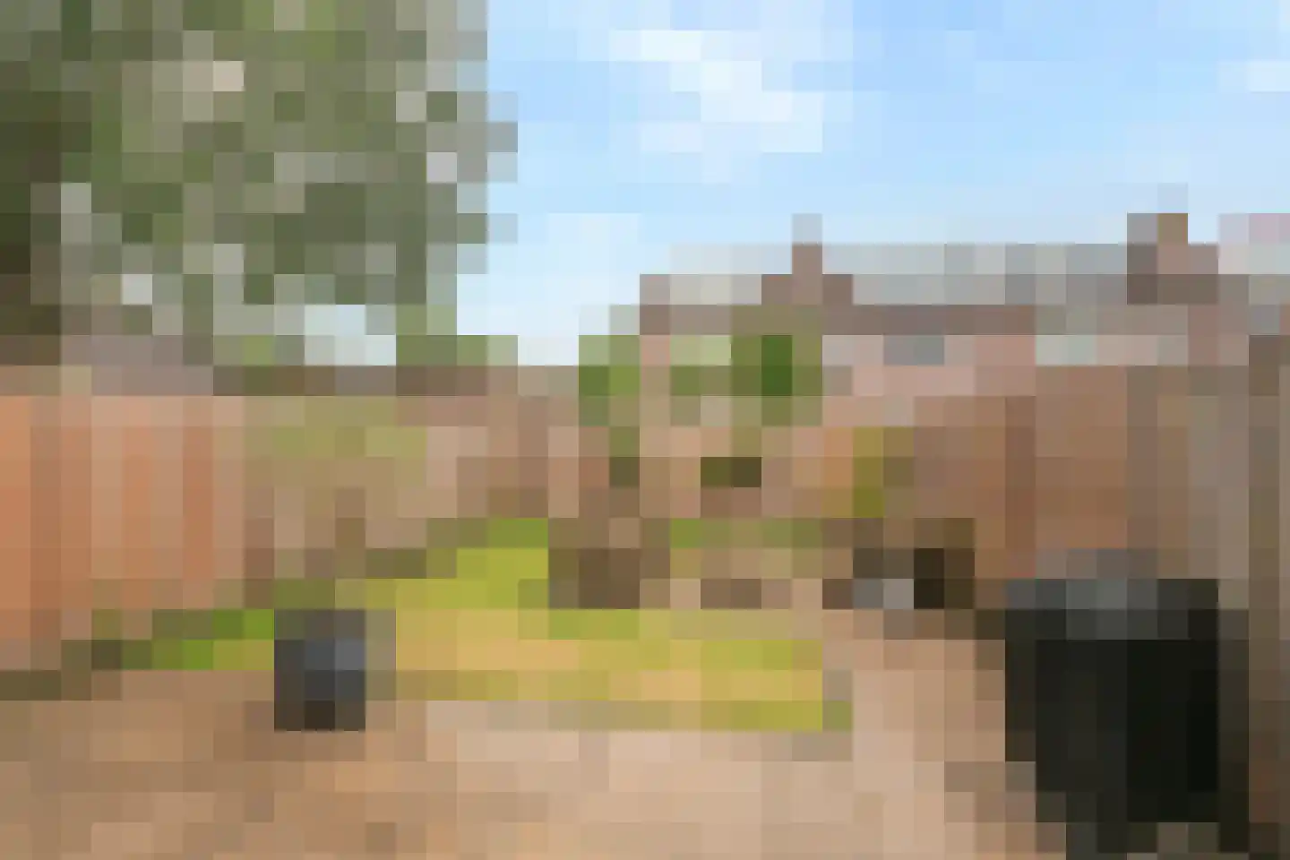 Turfschip 296 Amstelveen thumbnail 40