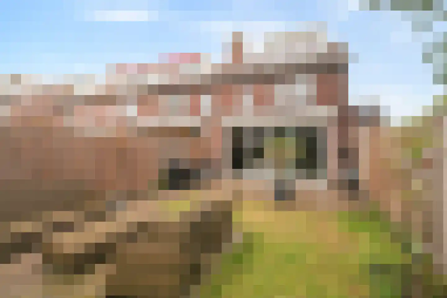 Turfschip 296 Amstelveen thumbnail 43