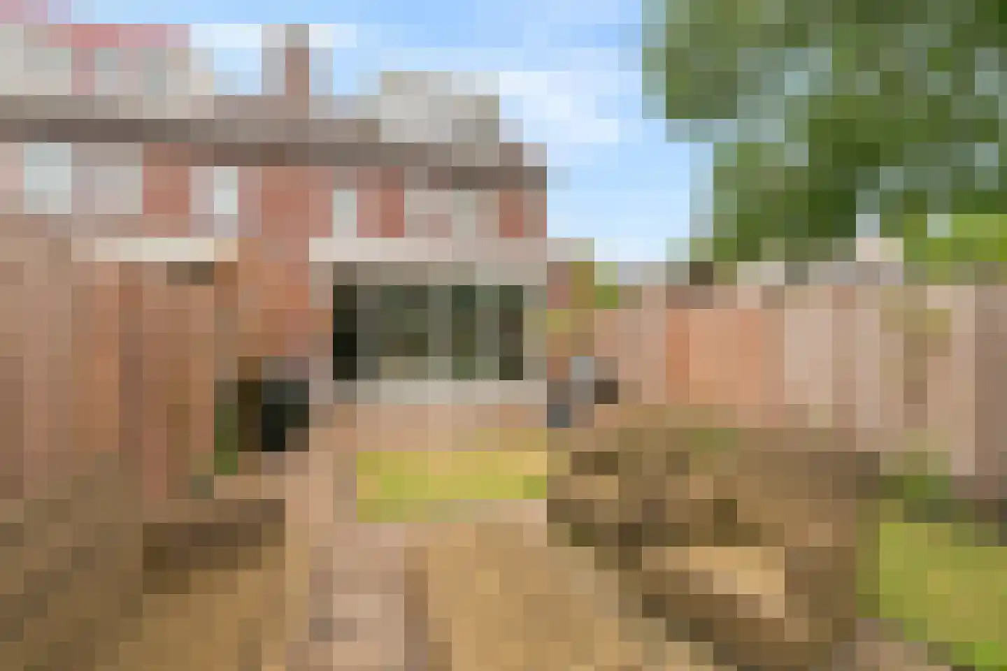 Turfschip 296 Amstelveen thumbnail 44