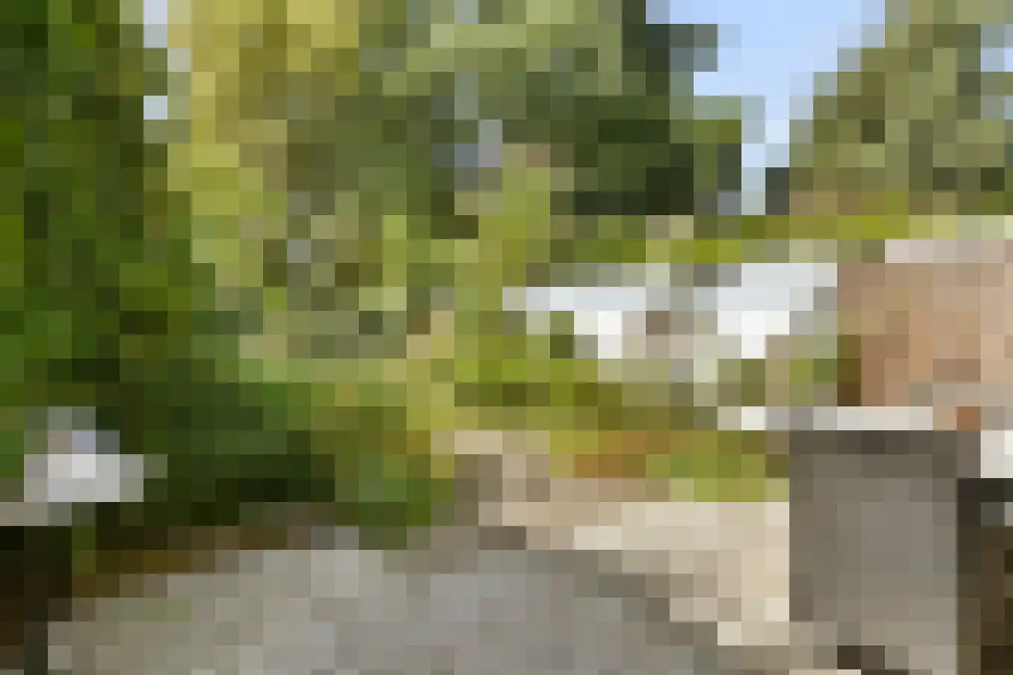 Turfschip 30 Amstelveen thumbnail 8