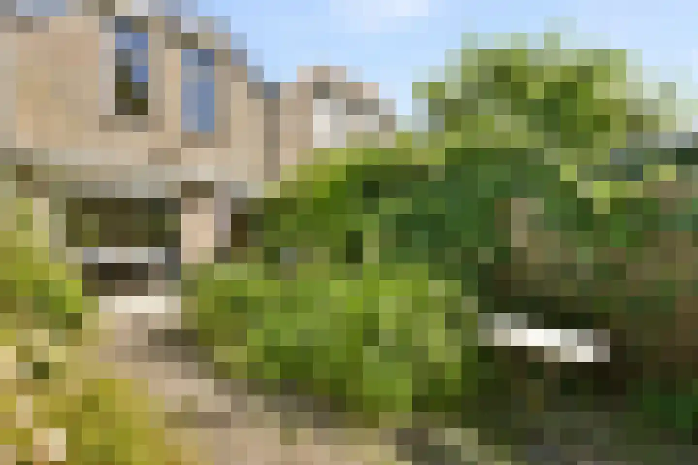 Turfschip 30 Amstelveen thumbnail 9