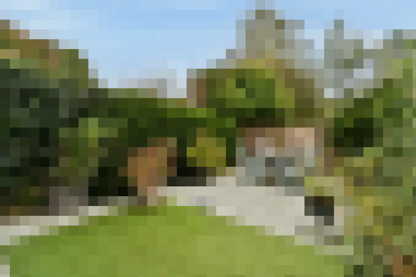 Turfschip 36 Amstelveen thumbnail 12