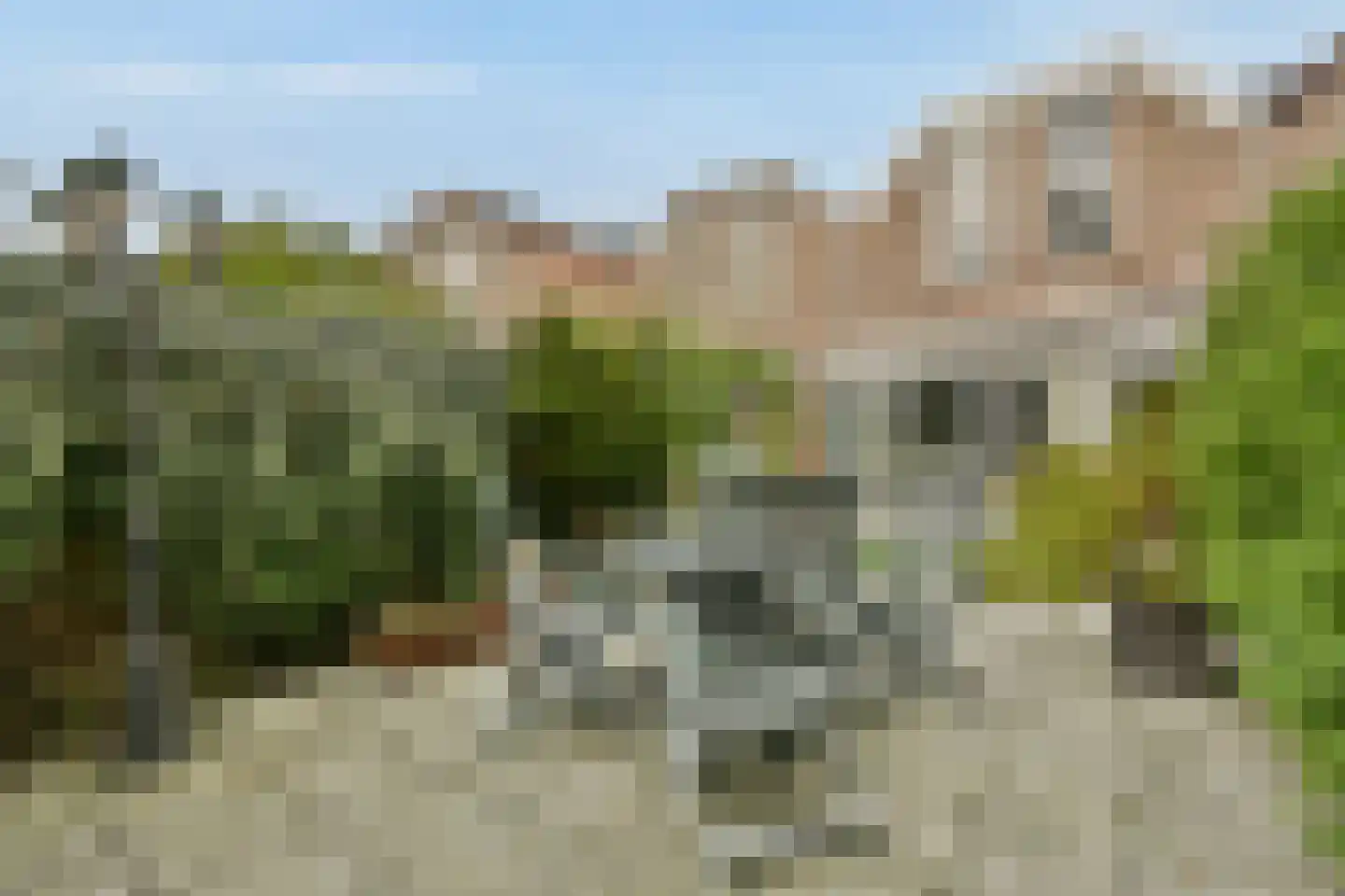 Turfschip 36 Amstelveen thumbnail 13