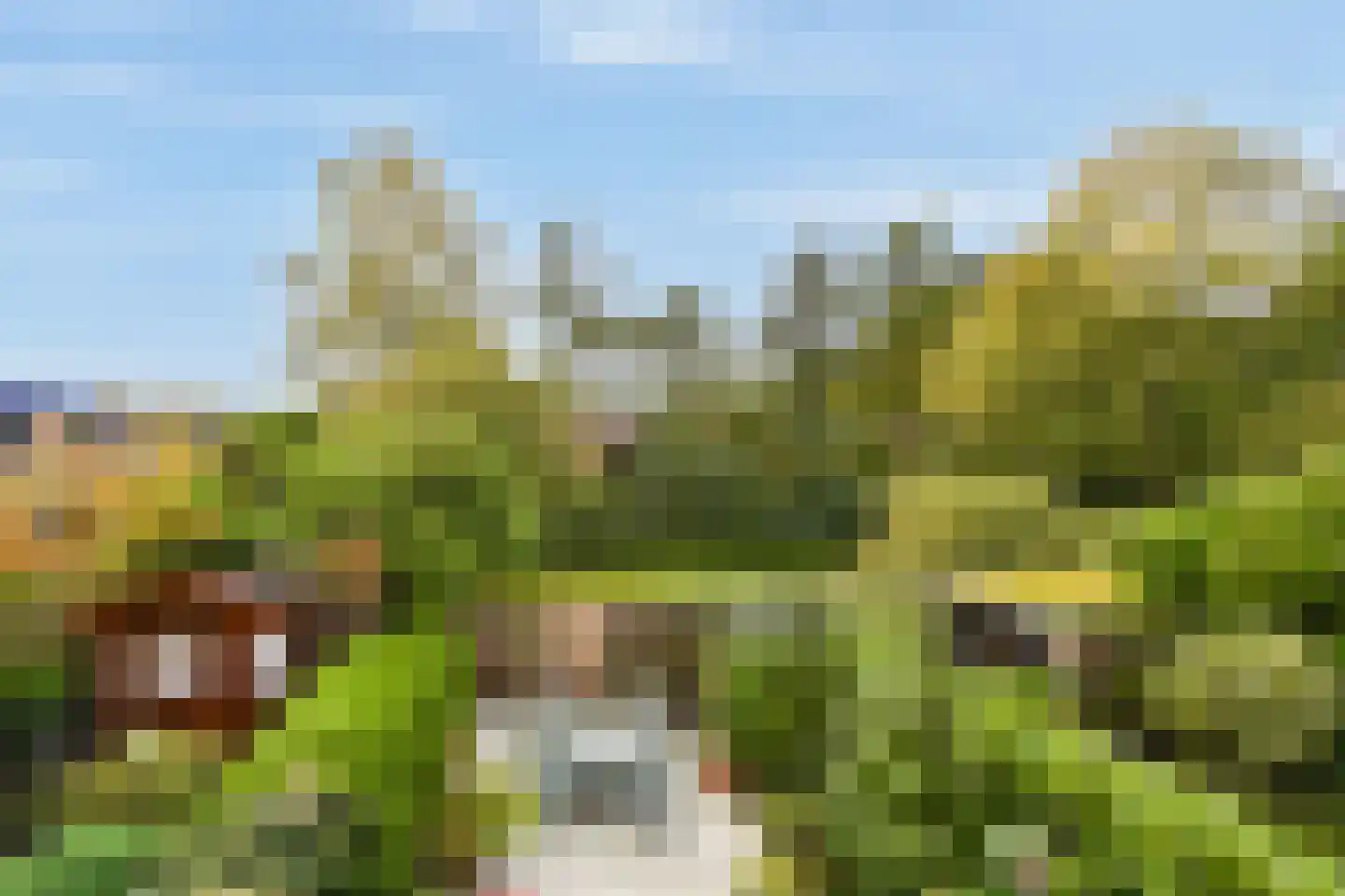 Turfschip 36 Amstelveen thumbnail 21