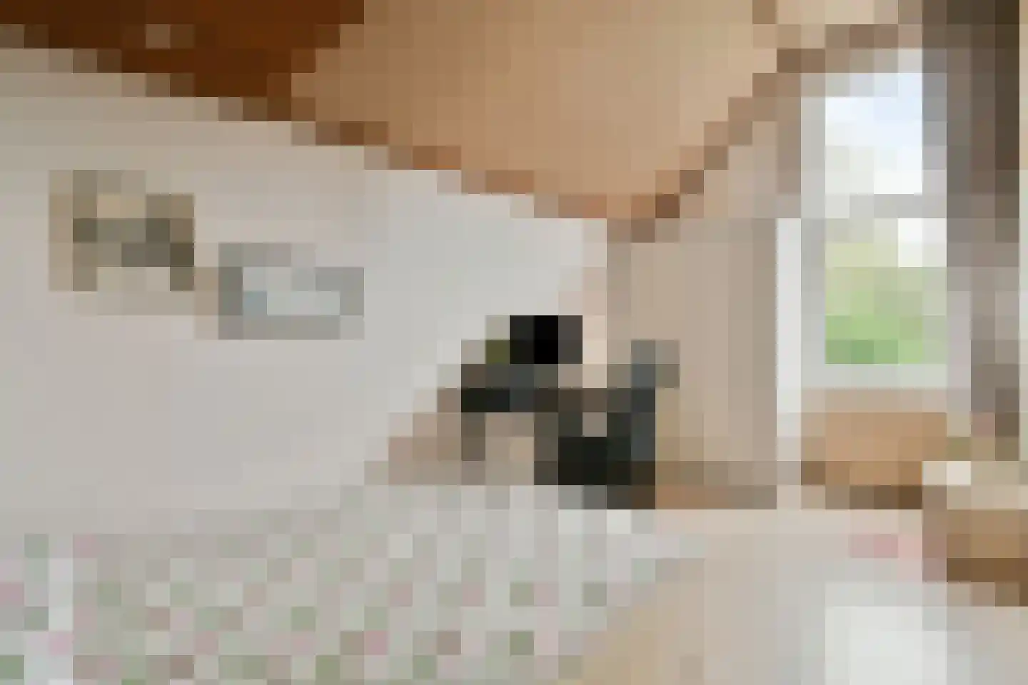 Turfschip 36 Amstelveen thumbnail 22