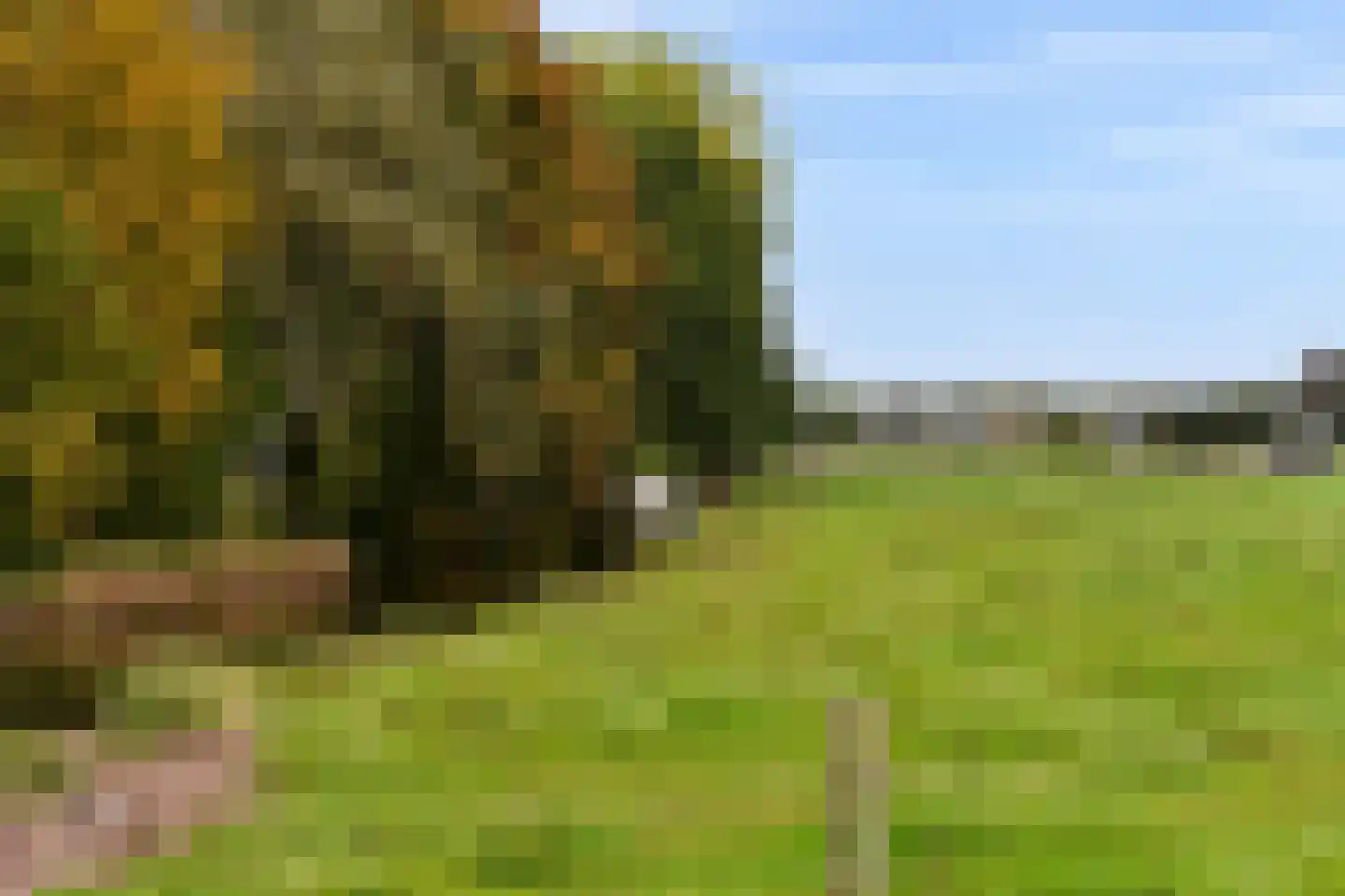 Turfschip 36 Amstelveen thumbnail 31